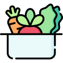 vegetales icon