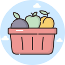 frutas icon