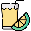 jugo de limon icon