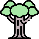 Árbol icon