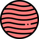 venus icon