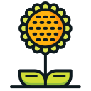 girasol icon