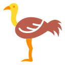 avestruz 
