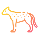 guepardo 