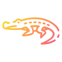 crocodilo 