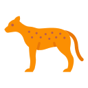 guepardo 