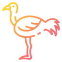 avestruz 