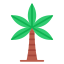 palmera 