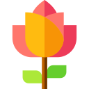 rosa icon