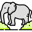 elefante icon