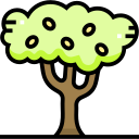 marula icon