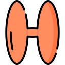 h icon