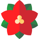 poinsettia 