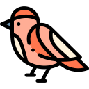 pájaro icon