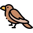 pájaro icon