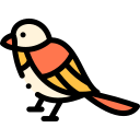 pájaro icon