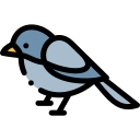 pájaro icon