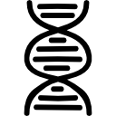 símbolo de adn dibujado a mano 