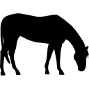 cavalo pastando silhueta negra 