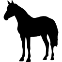 caballo de pie forma negra icon