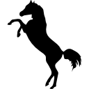 Лошадь стоит на двух задних лапах черный силуэт сбоку 