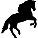 Horse jumping silhouette 