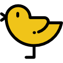 pollo icon