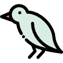 pájaro icon