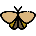 polilla icon