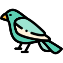 pájaro icon