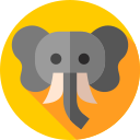 elefante icon