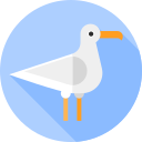 gaviota icon