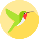 colibrí icon