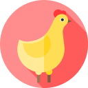 pollo icon