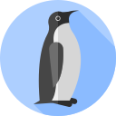 pingüino icon