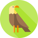 Águila icon