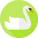 cisne icon