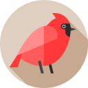 cardenal norteño icon