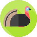 pavo icon