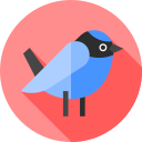 pájaro icon