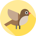 pájaro icon