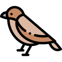 pájaro icon