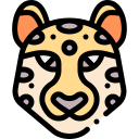 leopardo icon