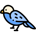 pájaro icon