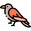 pájaro icon