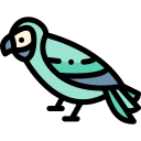 loro icon