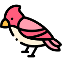 pájaro icon