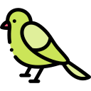 pájaro icon