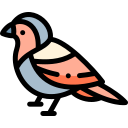 golondrina icon