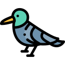 pájaro icon